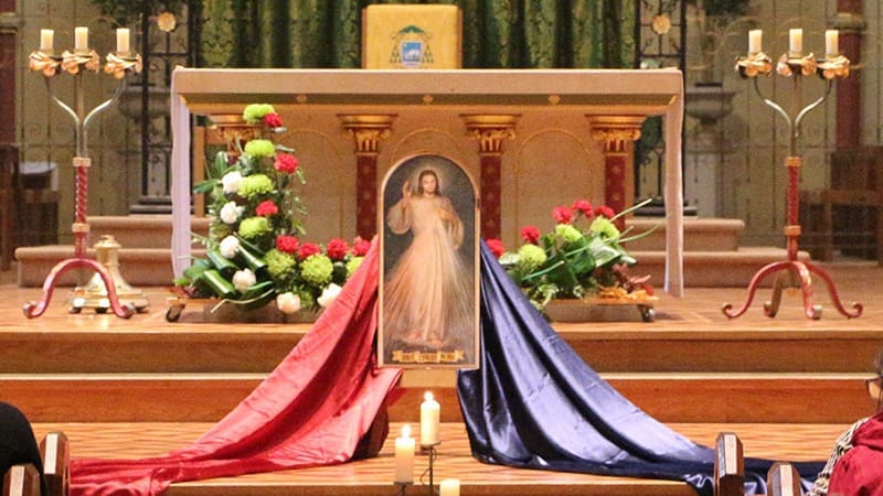 82254bf6 6867 4f0f a1f0 ab5af2495bae