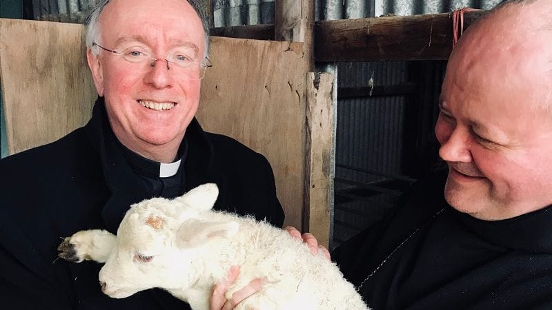 good shepherd