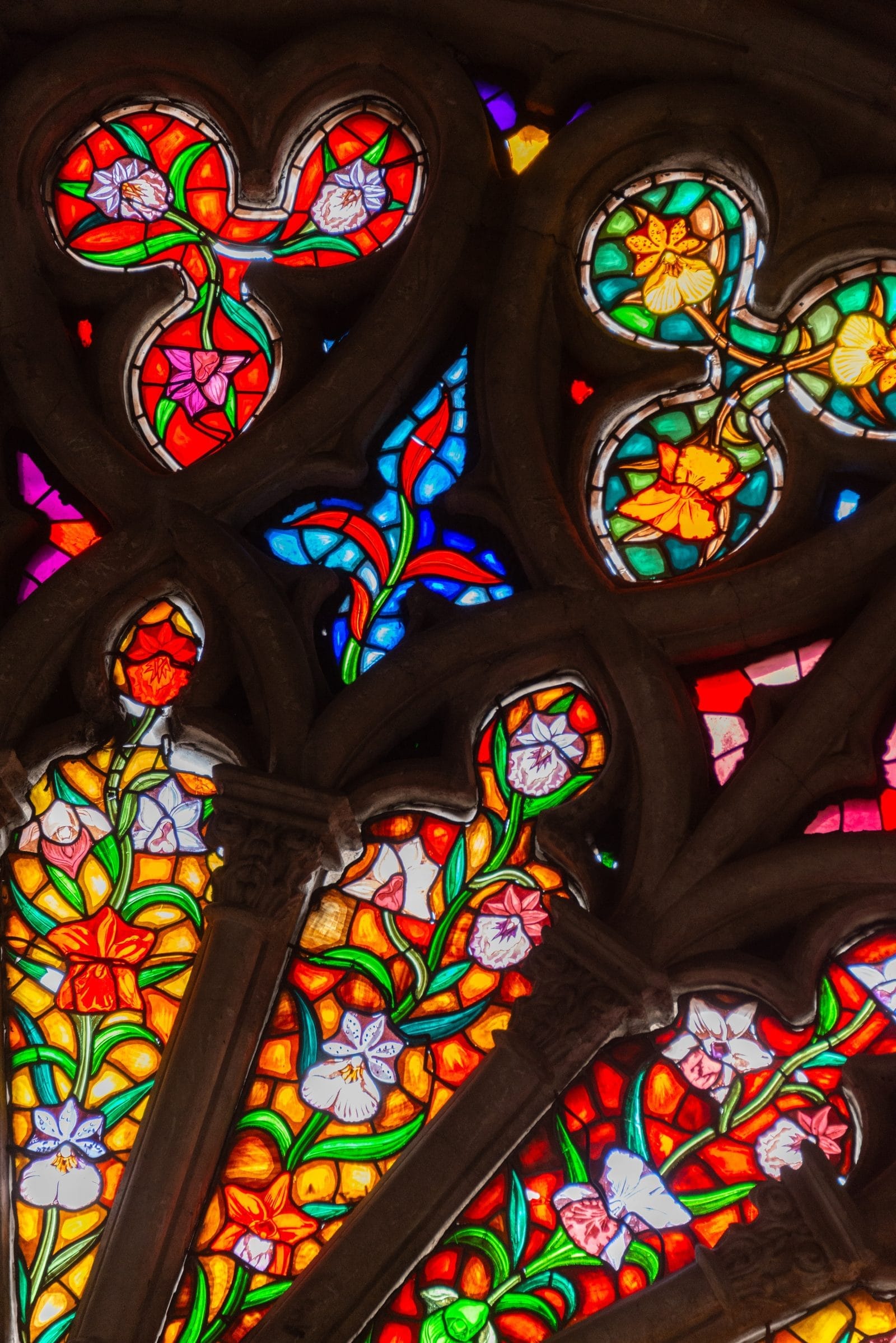 pexels diego f parra 18506953