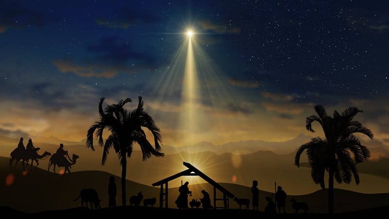Christmas Nativity Scene with animals and trees on starry sky