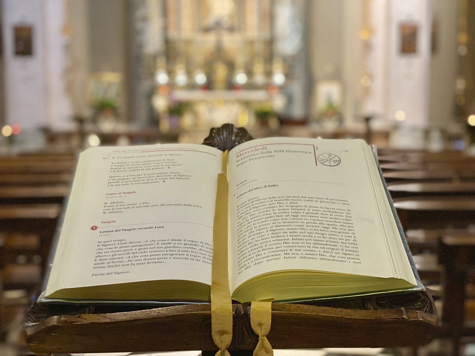 schoenstattinternational 163136837133 cathopic