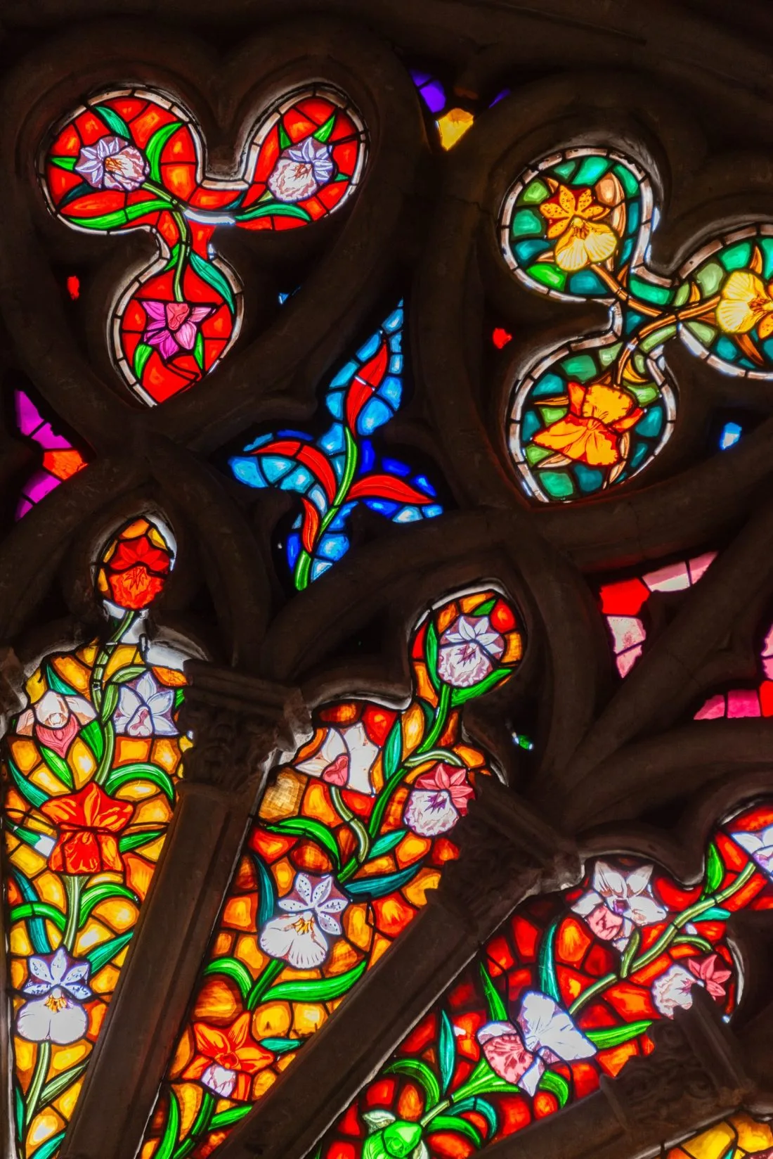 pexels diego f parra 18506953